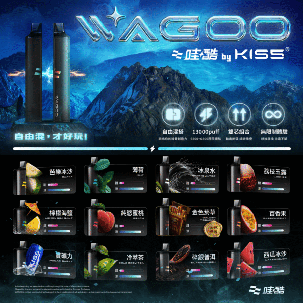 ✨【買十送一】✨WAGOO哇酷拋棄式6500口